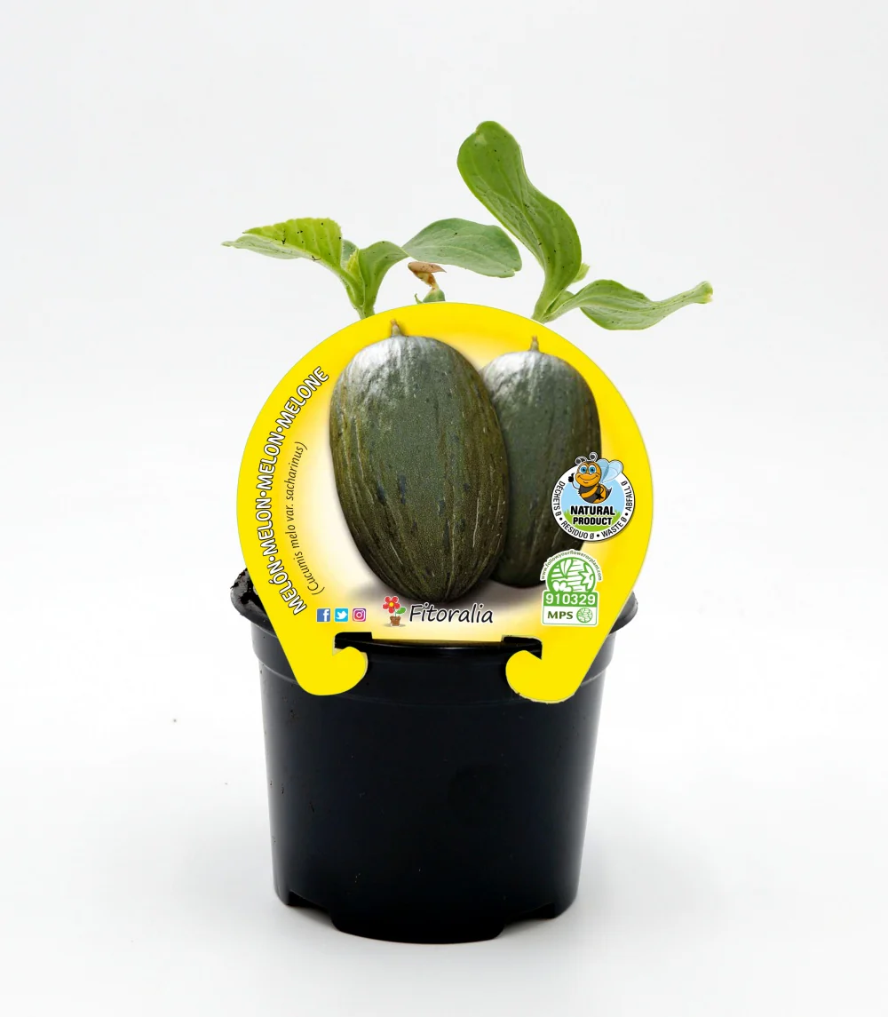 Imagem do produto 1