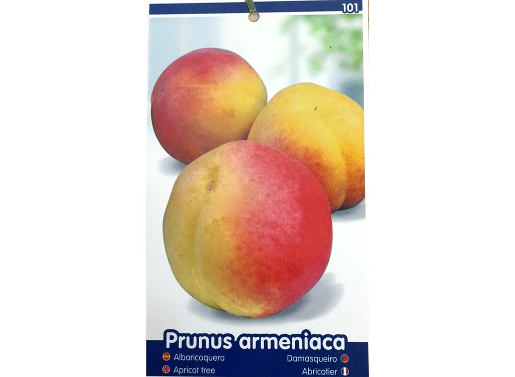 Imagem do produto 2