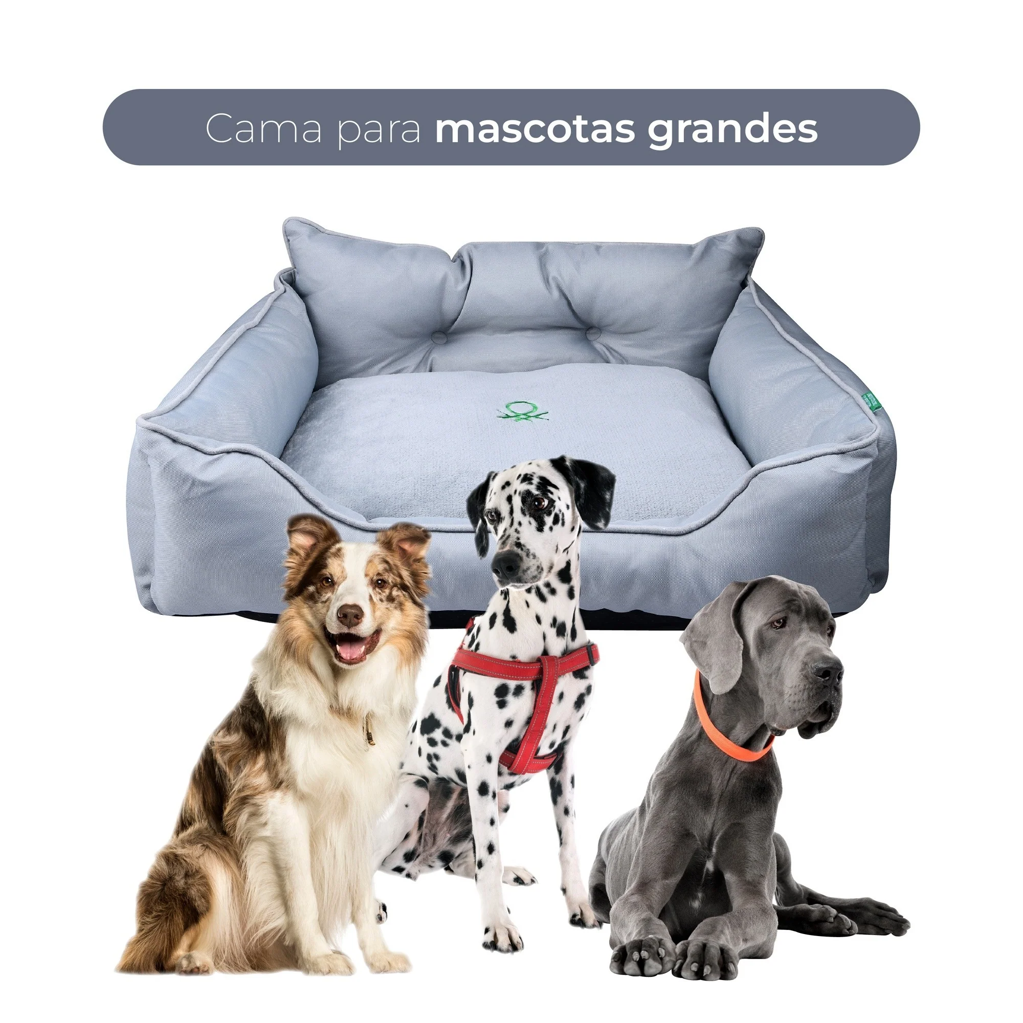 Imagem do produto 4