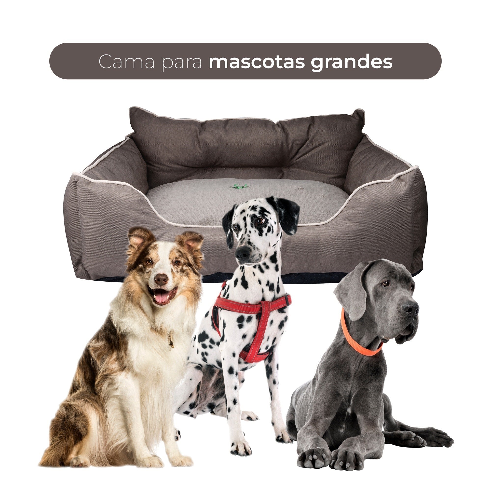 Imagem do produto 4