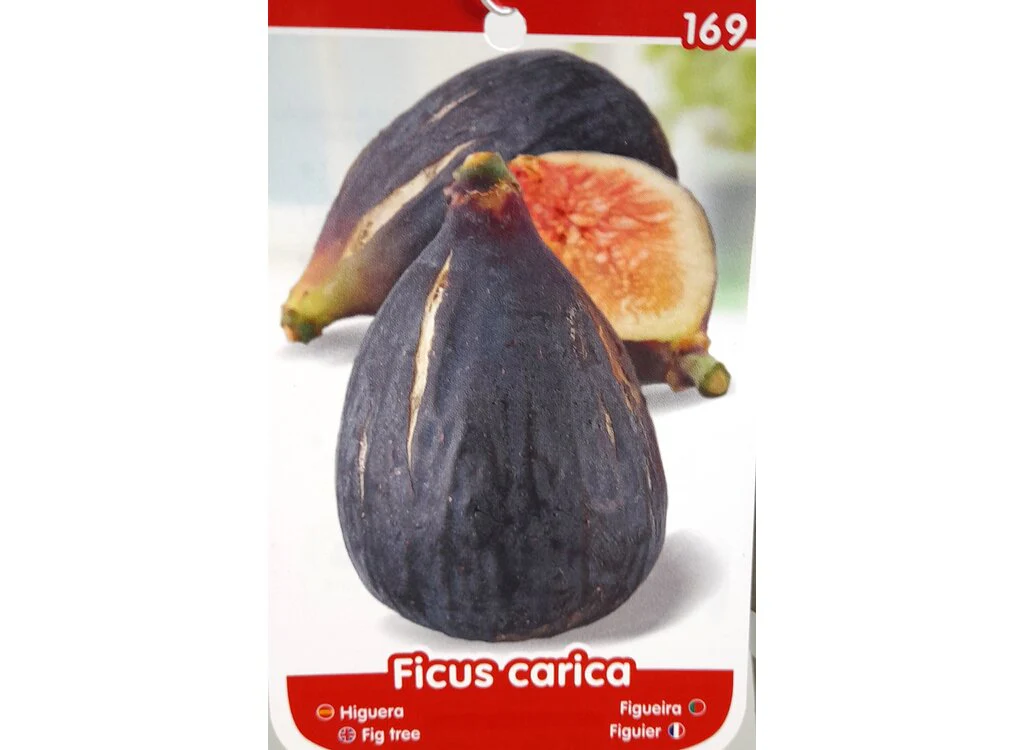 Imagem do produto 3