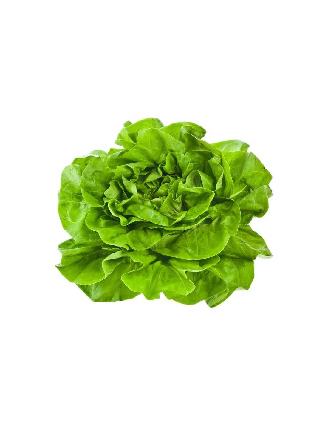 Imagem do produto 1